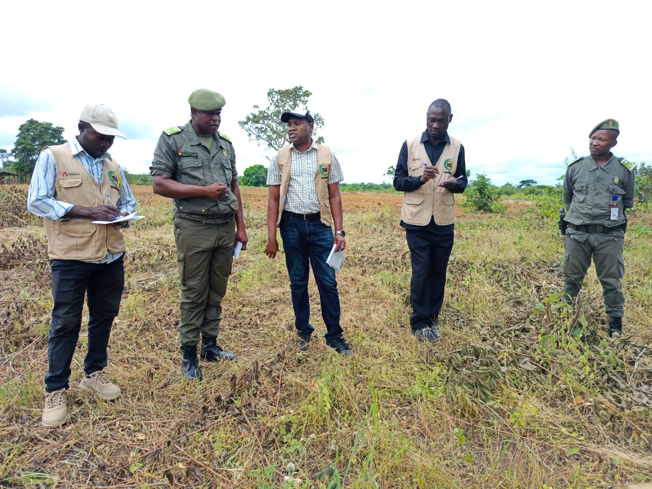 SERVIÇO PENITENCIÁRIO REFORÇA PRODUÇÃO AGRÍCOLA NO EP/NKIENDE COM APOIO TÉCNICO DO IDA